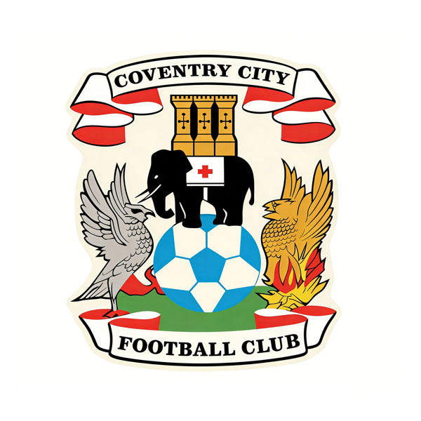 Coventry City FC Logo Rug