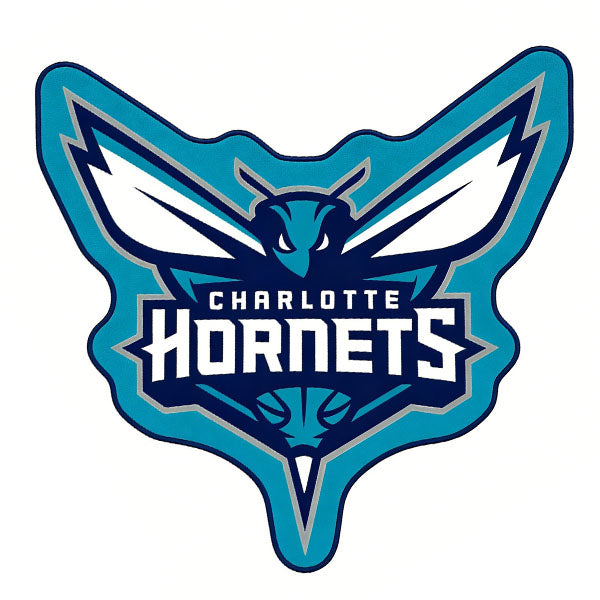 Charlotte Hornets Logo Rug