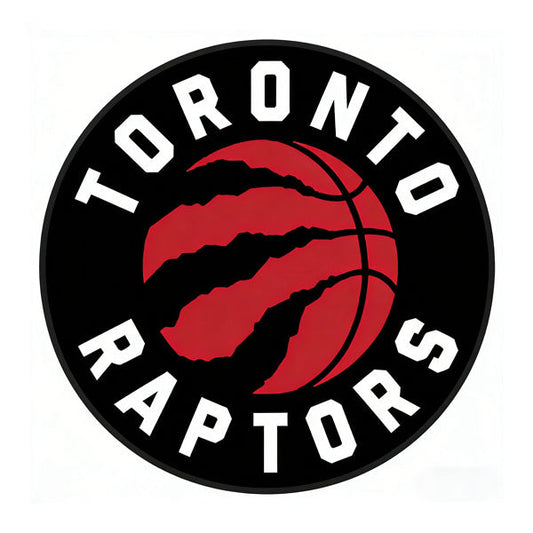 Toronto Raptors Rug